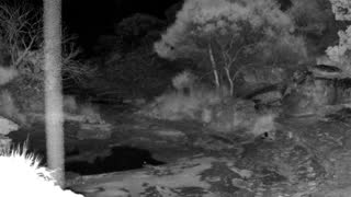 Still 2 from this detection