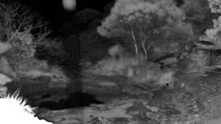 Still 1 from this detection