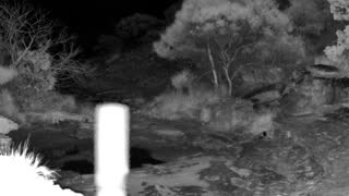 Still 1 from this detection