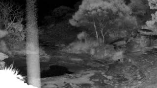 Still 2 from this detection