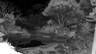 Still 2 from this detection
