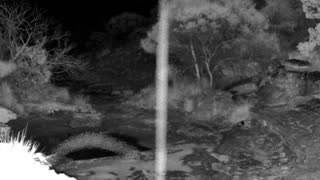 Still 2 from this detection