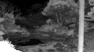 Still 1 from this detection