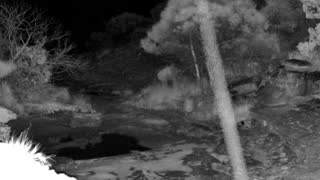 Still 2 from this detection