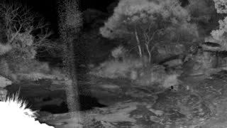 Still 1 from this detection
