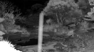 Still 1 from this detection