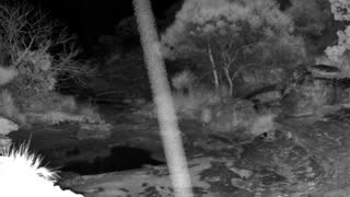 Still 2 from this detection