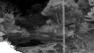 Still 1 from this detection