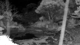 Still 2 from this detection