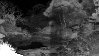 Still 2 from this detection