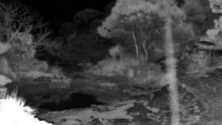 Still 3 from this detection