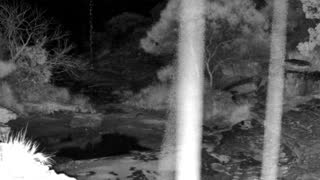 Still 2 from this detection