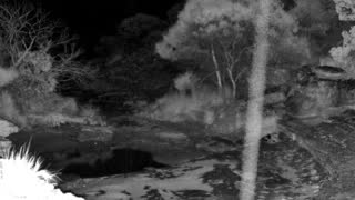 Still 1 from this detection