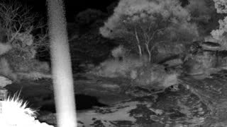 Still 3 from this detection
