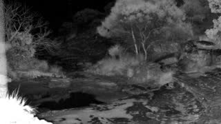 Still 2 from this detection
