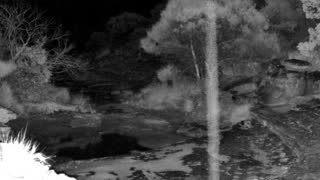 Still 2 from this detection