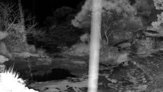 Still 1 from this detection