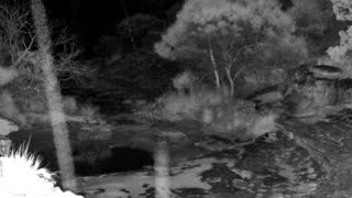 Still 2 from this detection