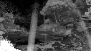 Still 1 from this detection