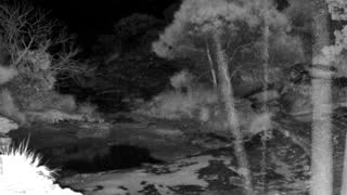 Still 2 from this detection
