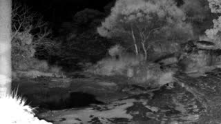 Still 3 from this detection
