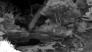 Still 1 from this detection
