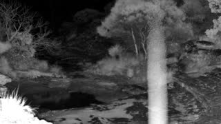 Still 2 from this detection