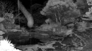Still 3 from this detection