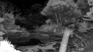 Still 1 from this detection