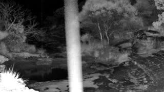 Still 1 from this detection