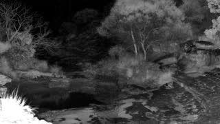 Still 2 from this detection