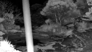Still 1 from this detection