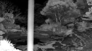 Still 2 from this detection
