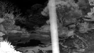 Still 3 from this detection