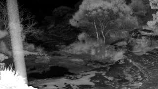 Still 2 from this detection