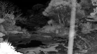 Still 1 from this detection