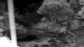 Still 1 from this detection