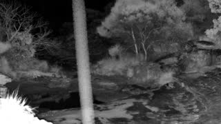 Still 2 from this detection