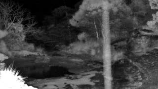 Still 3 from this detection
