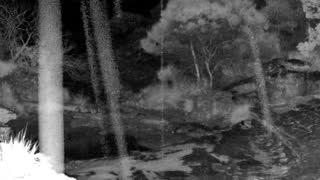 Still 1 from this detection
