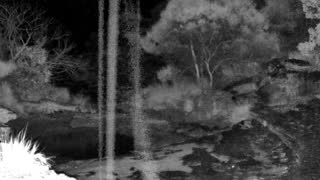 Still 3 from this detection