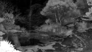 Still 1 from this detection