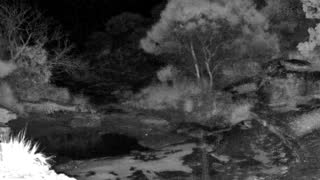 Still 2 from this detection