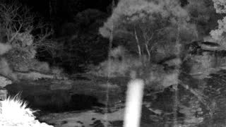 Still 1 from this detection