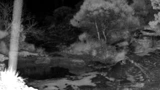 Still 3 from this detection