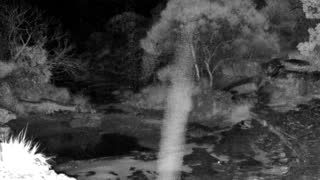 Still 2 from this detection