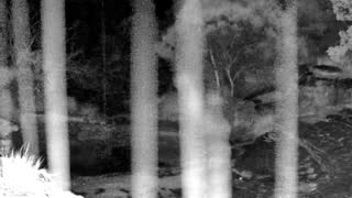 Still 3 from this detection