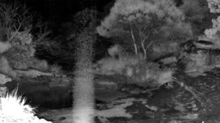 Still 3 from this detection