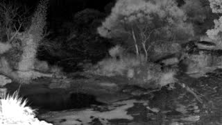 Still 1 from this detection