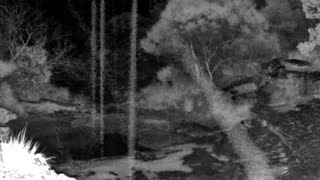 Still 2 from this detection